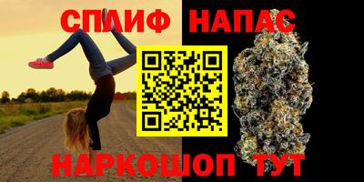 PSILOCYBIN Нальчик